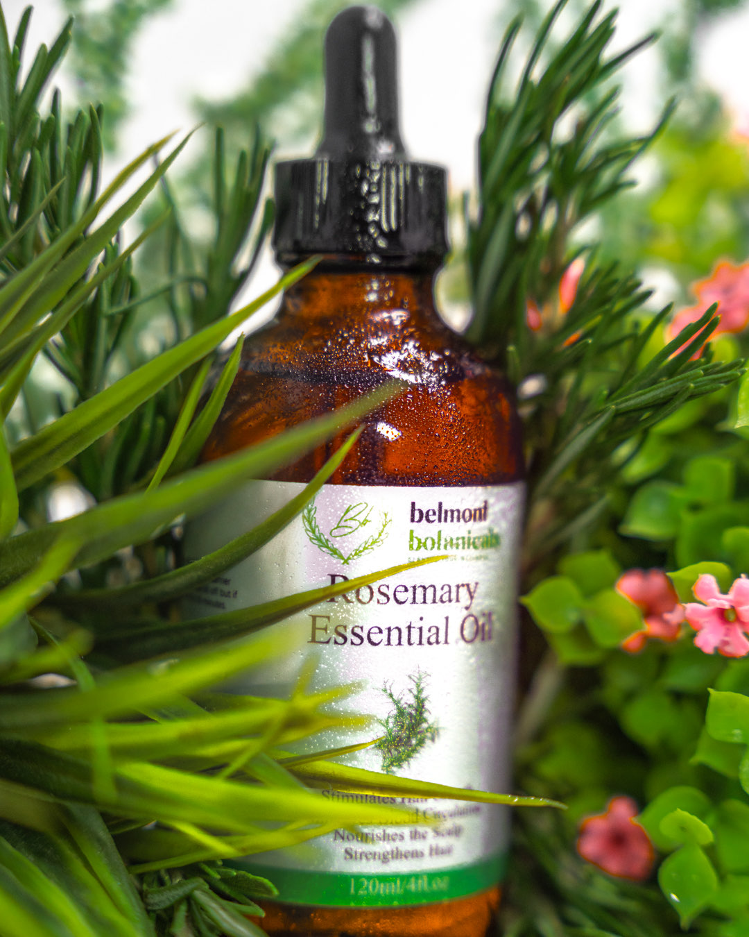 RoseMary3